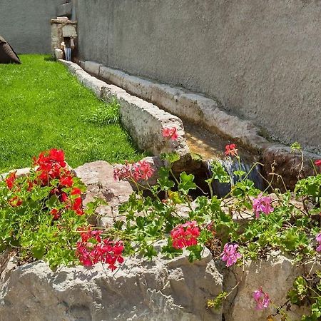 Il Frantoio A Monte-Vicino Al Lago Malcesine Eksteriør bilde